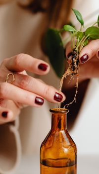 Herbal Extracts