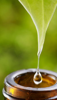 Phytochemicals